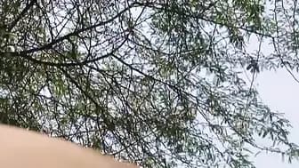 Bhabhis Jungle Sexcapade The Explicit Desi Village Sex Adventure You Wont Believe!