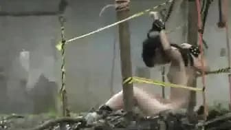 Déjà Vu Hoe 2